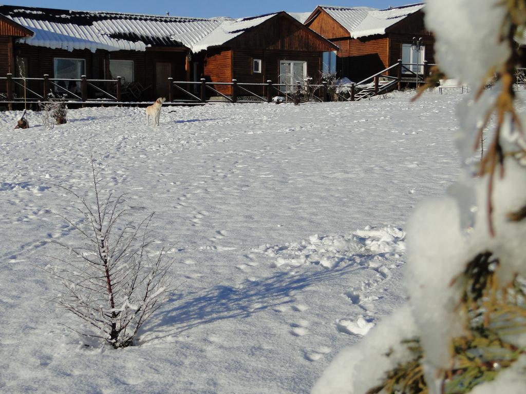 Cabanas Teuepen El Calafate Exteriör bild