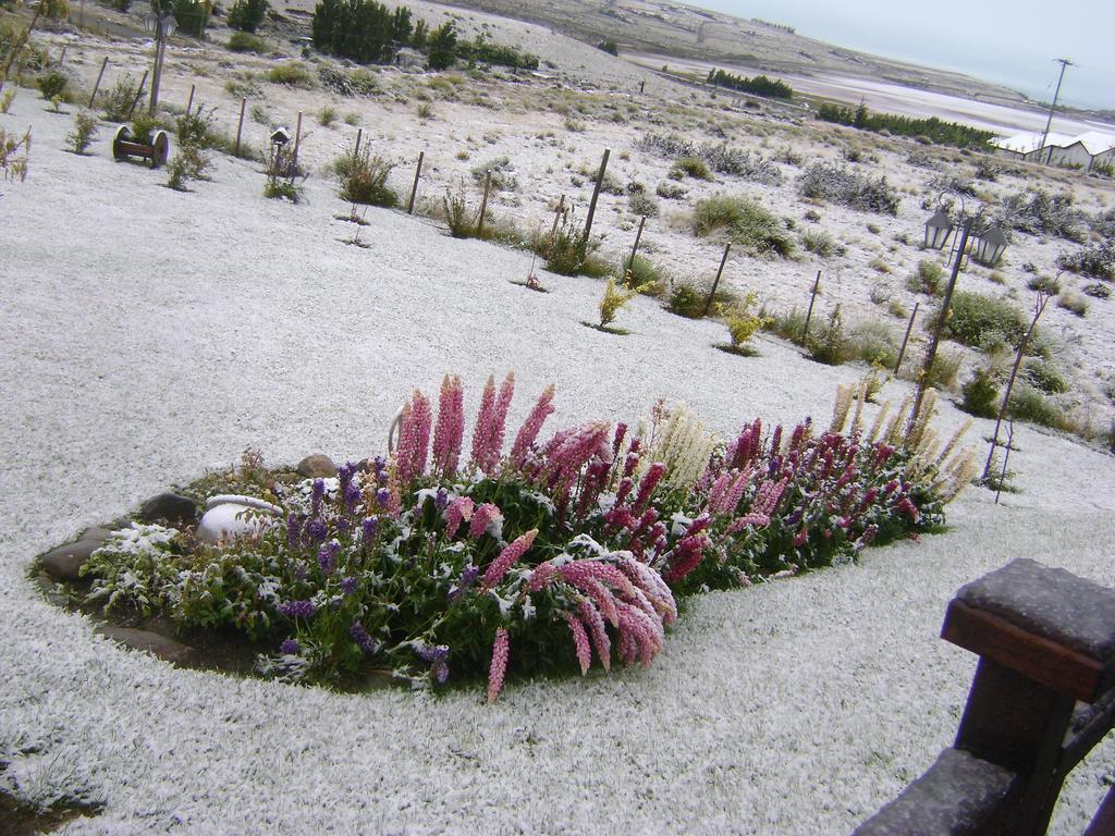 Cabanas Teuepen El Calafate Exteriör bild